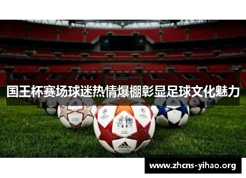 国王杯赛场球迷热情爆棚彰显足球文化魅力 国王杯赛场球迷热情爆棚彰显足球文化魅力