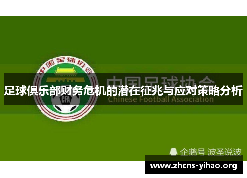 足球俱乐部财务危机的潜在征兆与应对策略分析 足球俱乐部财务危机的潜在征兆与应对策略分析