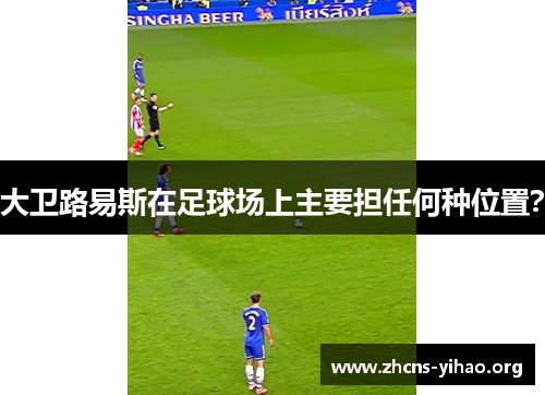 大卫路易斯在足球场上主要担任何种位置？