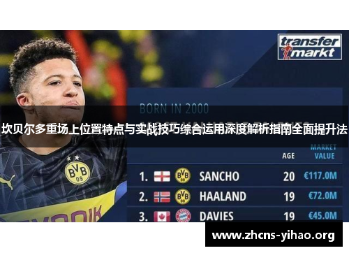 坎贝尔多重场上位置特点与实战技巧综合运用深度解析指南全面提升法
