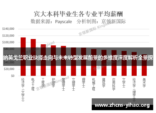 纳英戈兰职业抉择走向与未来转型发展前景的多维度深度解析全景探