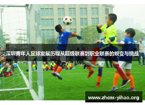 深圳青年人足球发展历程从超级联赛到职业联赛的蜕变与挑战