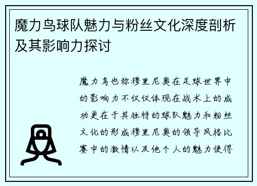 魔力鸟球队魅力与粉丝文化深度剖析及其影响力探讨
